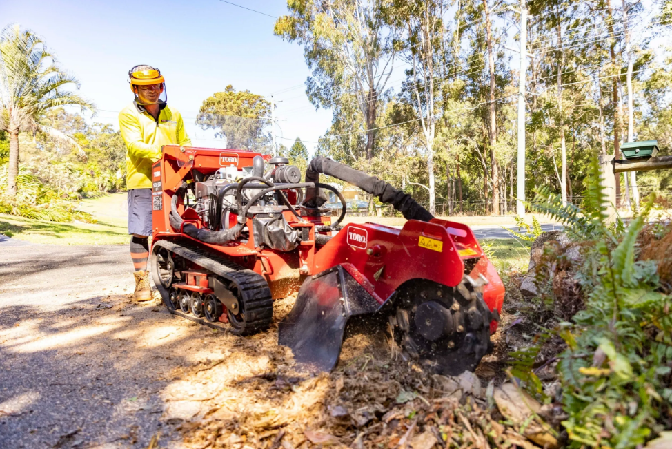 stump grinding Gold Coast