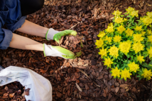 Garden mulch in the Gold Coast