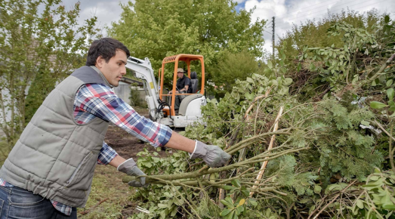 tree pruning on the Gold Coast