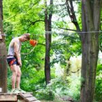 Gold Coast tree lopping