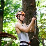 Gold Coast tree lopping